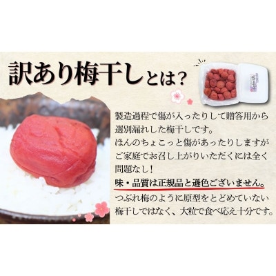 訳あり無選別紀州南高梅しそ 1kg