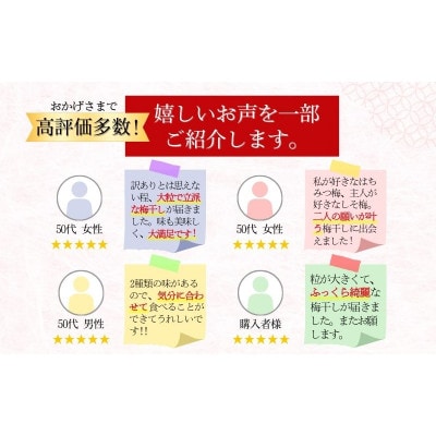 訳あり無選別紀州南高梅はちみつ 750g