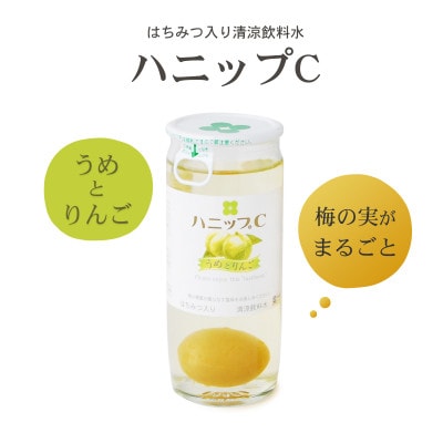 【すさみ町】果実入り清涼飲料水 ハニップC 2種類セット　合計30本