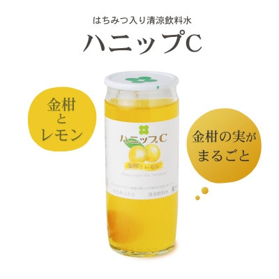 【すさみ町】果実入り清涼飲料水 ハニップC 2種類セット　合計30本