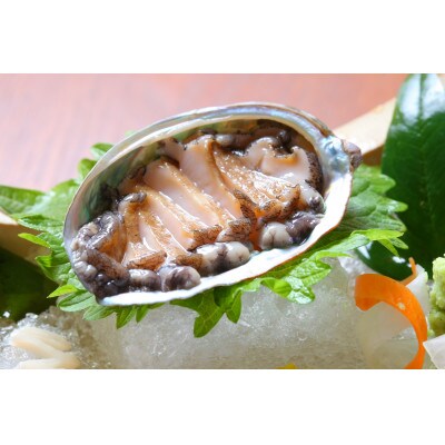 やわコリ食感紀州活アワビ 【8個入】