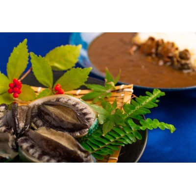 和歌山のアワビ屋さんがつくったあわびカレー 170g×3袋