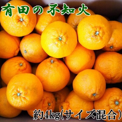 【濃厚】有田産不知火約4kg(M～3Lサイズ混合)(すさみ町)