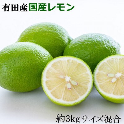 有田産の安心国産レモン約3kg(サイズ混合) (すさみ町)