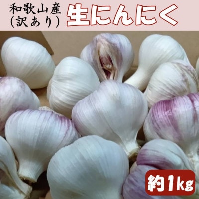 和歌山県産生にんにく約1kg　ご家庭用(すさみ町)