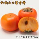 和歌山産富有柿 約7.5kg サイズおまかせ(すさみ町)