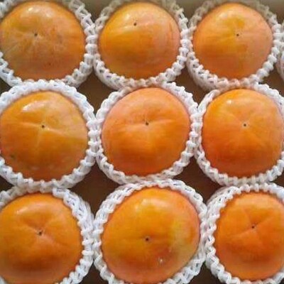 【厳選・産直】和歌山産富有柿約4kg 化粧箱入り(2L～4Lサイズおまかせ)【すさみ町】
