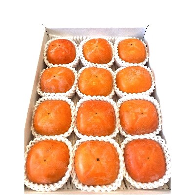 【秋の味覚】和歌山産たねなし柿約4kg  化粧箱入り(2L～4Lサイズ)【すさみ町】