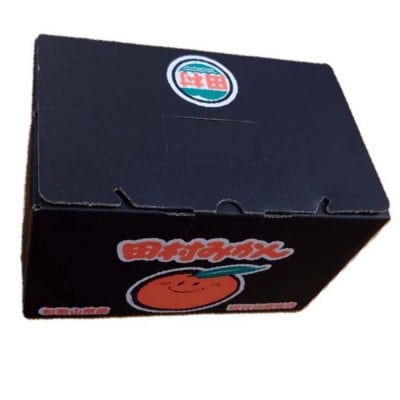 【ブランドみかん】田村みかん約3kg(S.M.Lサイズおまかせ・秀品)【すさみ町】