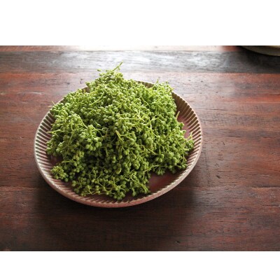 熊野牛　万能スライス　1kg(粉山椒付)【すさみ町】