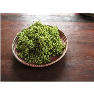 【熊野牛】紀州ごちそうオードブルセット