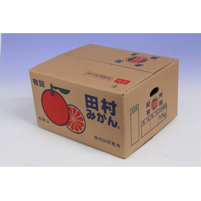【2024年発送】すさみグルメ市場の田村みかん 訳あり 家庭用 約10kg(2S～L・混合サイズ)