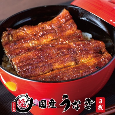 国産うなぎ 関西風蒲焼 大サイズ3枚(合計約450g)薬味付【すさみグルメ市場】