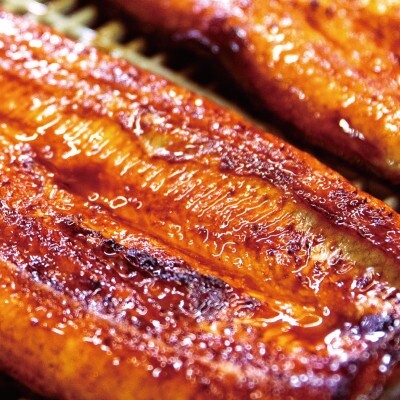 国産うなぎ 関西風蒲焼 大サイズ5枚(合計約750g)薬味付【すさみグルメ市場】