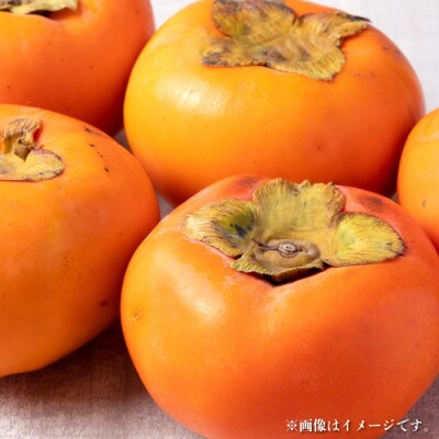 【2024年発送】すさみグルメ市場の富有柿 3kg以上