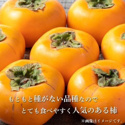 【2024年発送】すさみグルメ市場の種なし柿 3kg以上