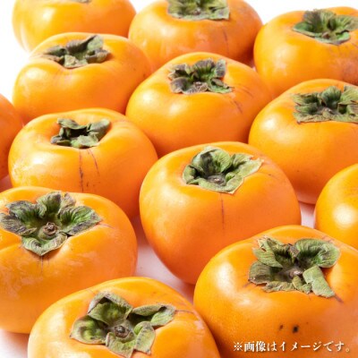 【2024年発送】すさみグルメ市場の種なし柿 3kg以上