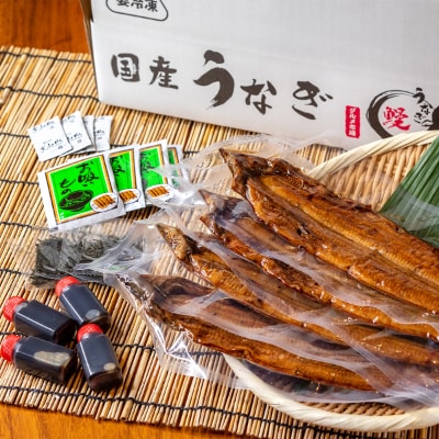 国産うなぎ蒲焼 大サイズ4枚(合計約600g) 薬味付【すさみグルメ市場】