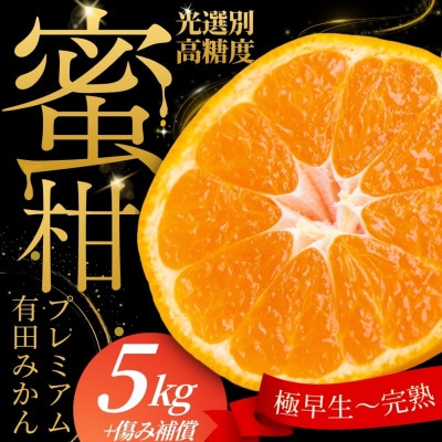 プレミアム 有田みかん5kg+250g(傷み補償分)【光センサー選果】