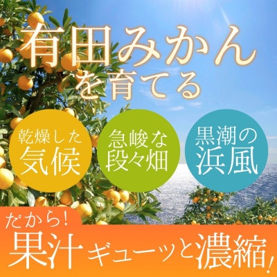プレミアム 有田みかん5kg+250g(傷み補償分)【光センサー選果】