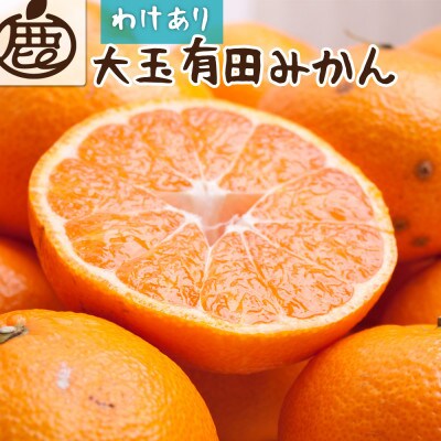<2026年11月より発送>家庭用 大きな有田みかん10kg+250g(傷み補償分)【訳あり】