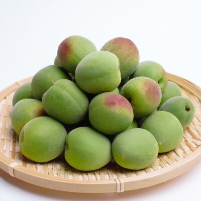 <6月発送>厳選 紀州南高梅(青梅)2.5kg+75g(傷み補償分)【梅干し・梅酒・梅ジュース】