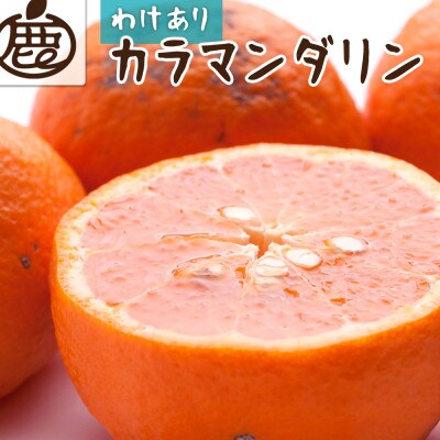 家庭用 カラマンダリン5kg+250g(傷み補償分)【希少な春柑橘】【訳あり】