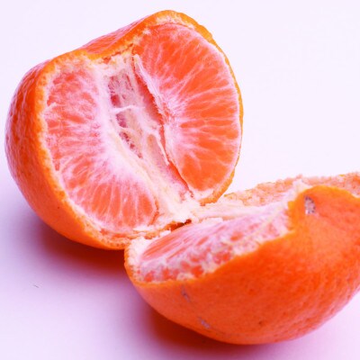 <2025年1月より順次発送>厳選 ポンカン2.5kg+75g(傷み補償分)【光センサー選別】