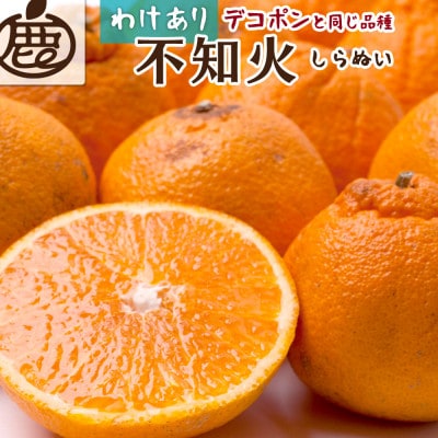 家庭用 不知火5kg+250g(傷み補償分)【訳あり】【デコポンと同品種】
