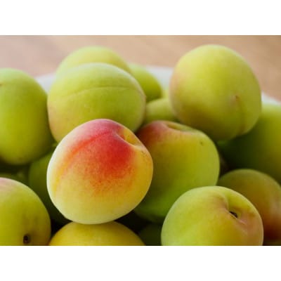 【梅干・梅酒用等】紀州和歌山の熟南高　生梅(大粒4L、10kg) 　6月上旬から順次発送予定