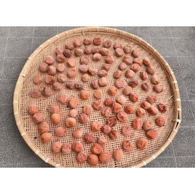 【梅干・梅酒用等】紀州和歌山の熟南高　生梅(大玉4L、2kg) 6月上旬から7月上旬順次発送