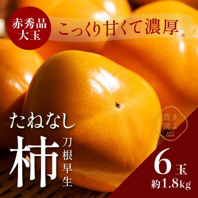 先行受付　柿(種無し)　赤秀品大玉　6個入　約1.8kg