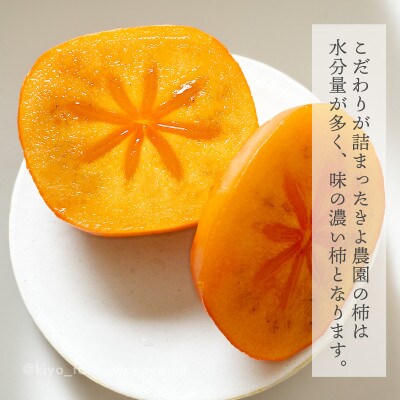 先行受付　柿(種無し)　赤秀品大玉　6個入　約1.8kg