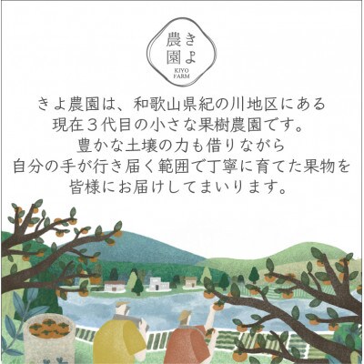 先行受付　柿(種無し)　赤秀品大玉　6個入　約1.8kg