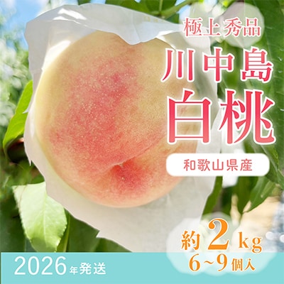桃先行受付!　【川中島白桃】　(大玉特秀品)　約2kg　6～9個入　こだわり農家厳選!