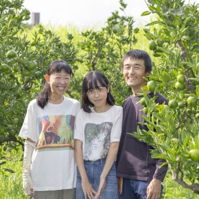 無添加ドライみかん5袋セット