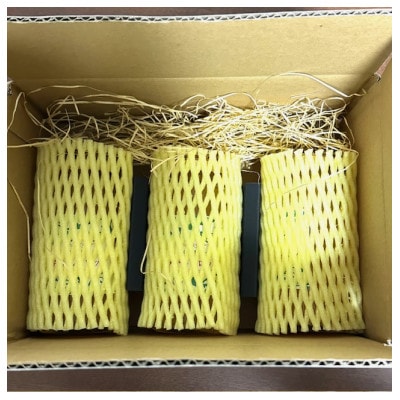 【宮田農園】みかんシロップ(ヨーグルトソース)3本入