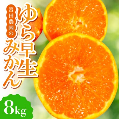 【ゆら早生】宮田農園の温州みかん　8kg
