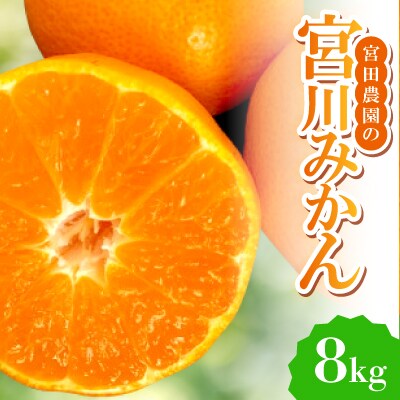 【みかんの王道】宮田農園の宮川みかん　8Kg