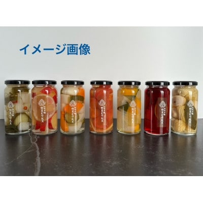 Inka(宮田農園)知多半島野菜ピクルス　4本入