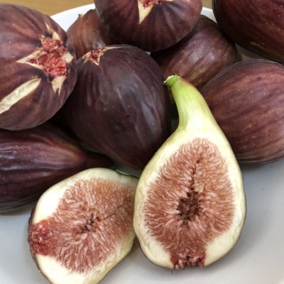 愛知県 東海市産 いちじく 1箱 約1kg(9～12玉入り)
