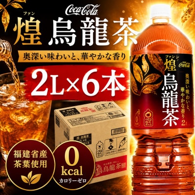 日本コカ・コーラ 煌(ファン) 烏龍茶 2L×6本 ペットボトル ケース