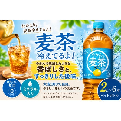 日本コカ・コーラ やかんの麦茶 from 爽健美茶 2L×6本 ペットボトル ケース