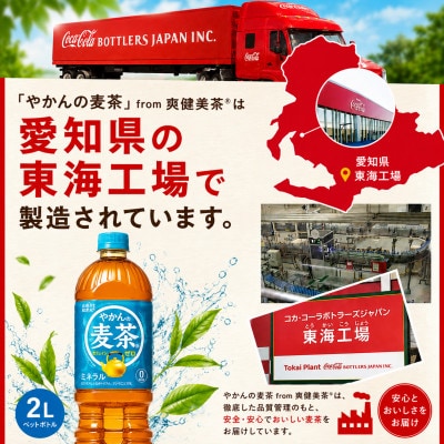 日本コカ・コーラ やかんの麦茶 from 爽健美茶 2L×6本 ペットボトル ケース