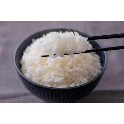 ゆめぴりか計10kg【5kg×2袋】