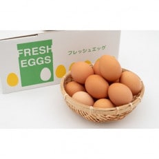 昔ながらの庭先たまご40個【サイズ混合2,500g以上】