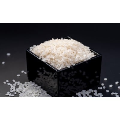 令和4年産　上士別の生産者が作るゆめぴりか5kg&ななつぼし5kg　計10kg