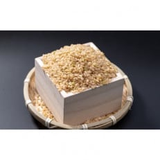 令和4年産【玄米】上士別の生産者が作るゆめぴりか5kg&ななつぼし5kg　計10kg