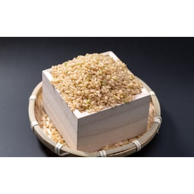 令和2年産【玄米】上士別の生産者が作るゆめぴりか5kg×4個