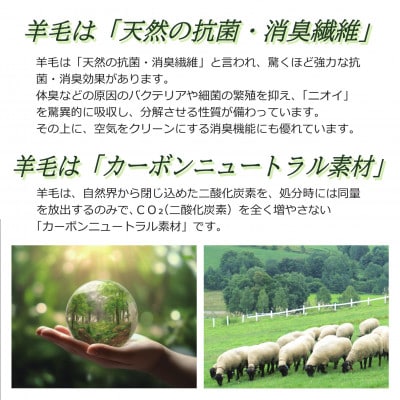 【寝具の井上】羊毛100%ピュアウール掛布団(シングル・1枚)